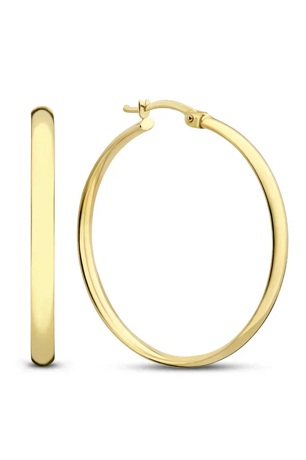 Noa -  Serane Gold Earrings